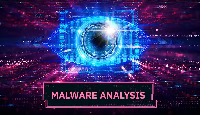Malware analysis project